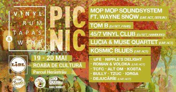 Picnic with Vinyl, Rum, Tapas & Wine